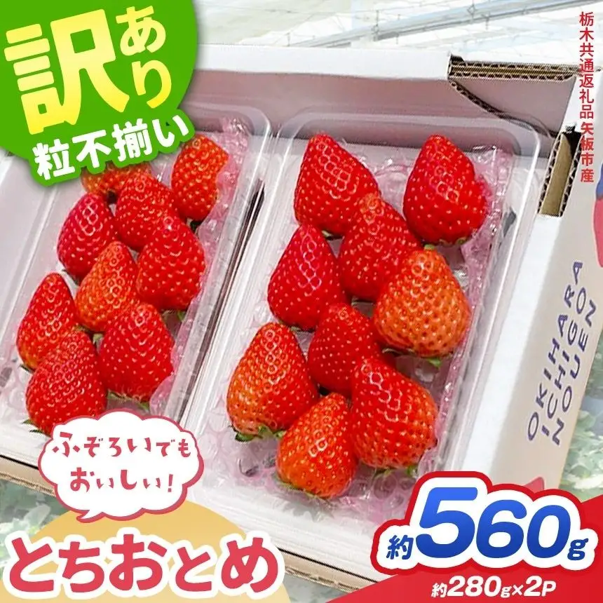 【先行予約】訳あり いちご とちおとめ 約 280g × 2P 栃木県共通返礼品