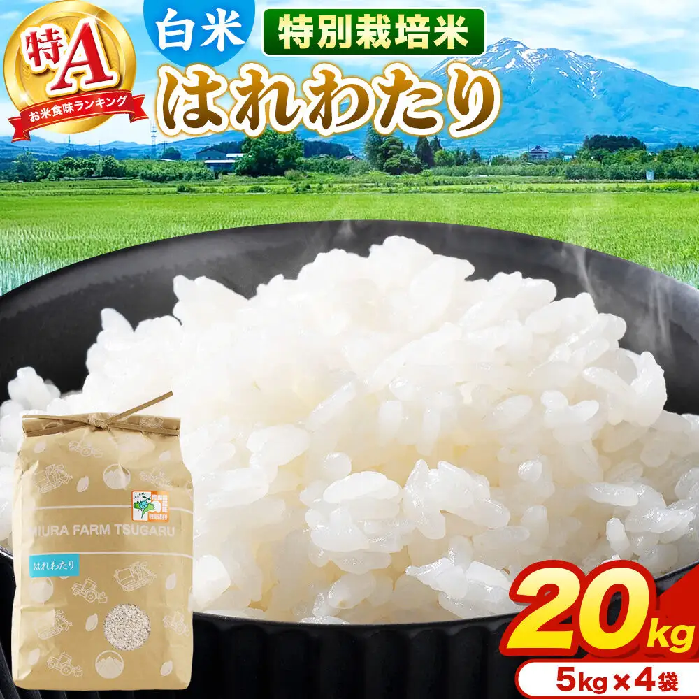 米【特別栽培米】はれわたり 白米 20kg（5kg×4袋）令和7年産 特A 青森県弘前市産
