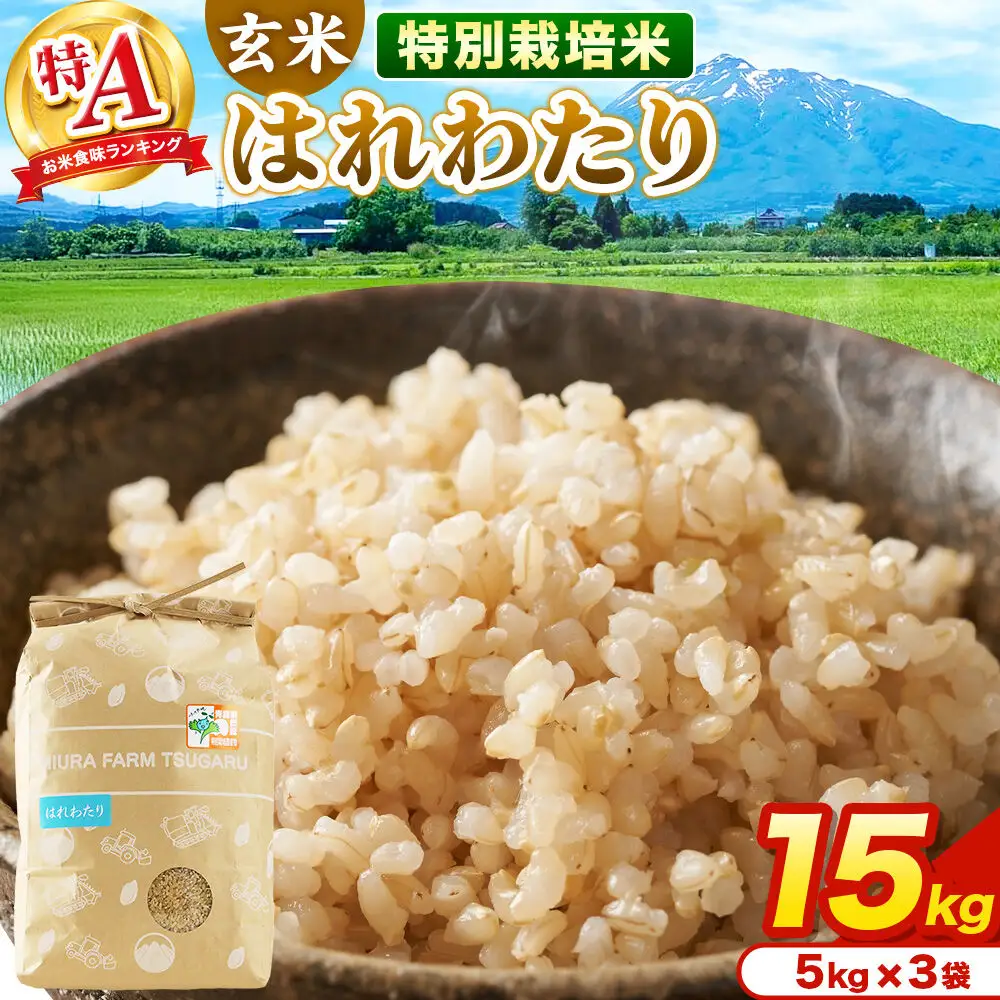 米【特別栽培米】はれわたり 玄米 15kg（5kg×3袋）令和7年産 特A 青森県弘前市産