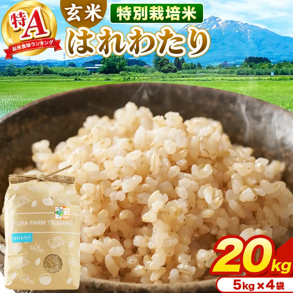米【特別栽培米】はれわたり 玄米 20kg（5kg×4袋）令和7年産 特A 青森県弘前市産