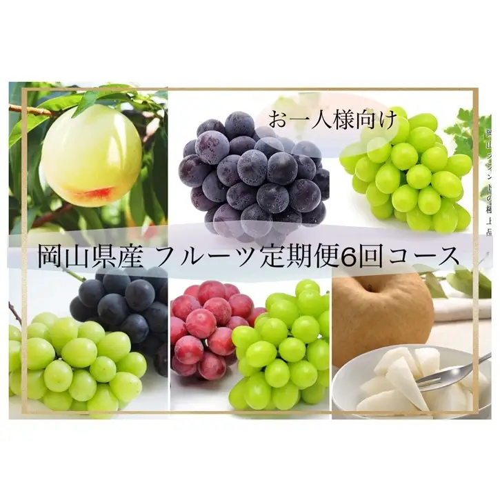 フルーツ定期便 桃 ぶどう 梨 お一人様向け 岡山県産 フルーツ定期便【6回コース】【先行予約】