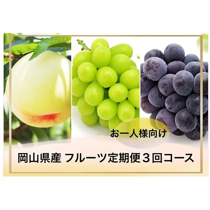 フルーツ定期便 桃 ぶどう お一人様向け 岡山県産 フルーツ定期便【3回コース】【先行予約】