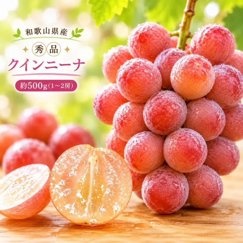 クインニーナ 約500g (1房～2房) 秀品 / ぶどう ギフト 贈答 旬 フルーツ 果物 和歌山 紀美野町産 ※2026年9月下旬～10月上旬に順次発送【frt502-r-0d5】