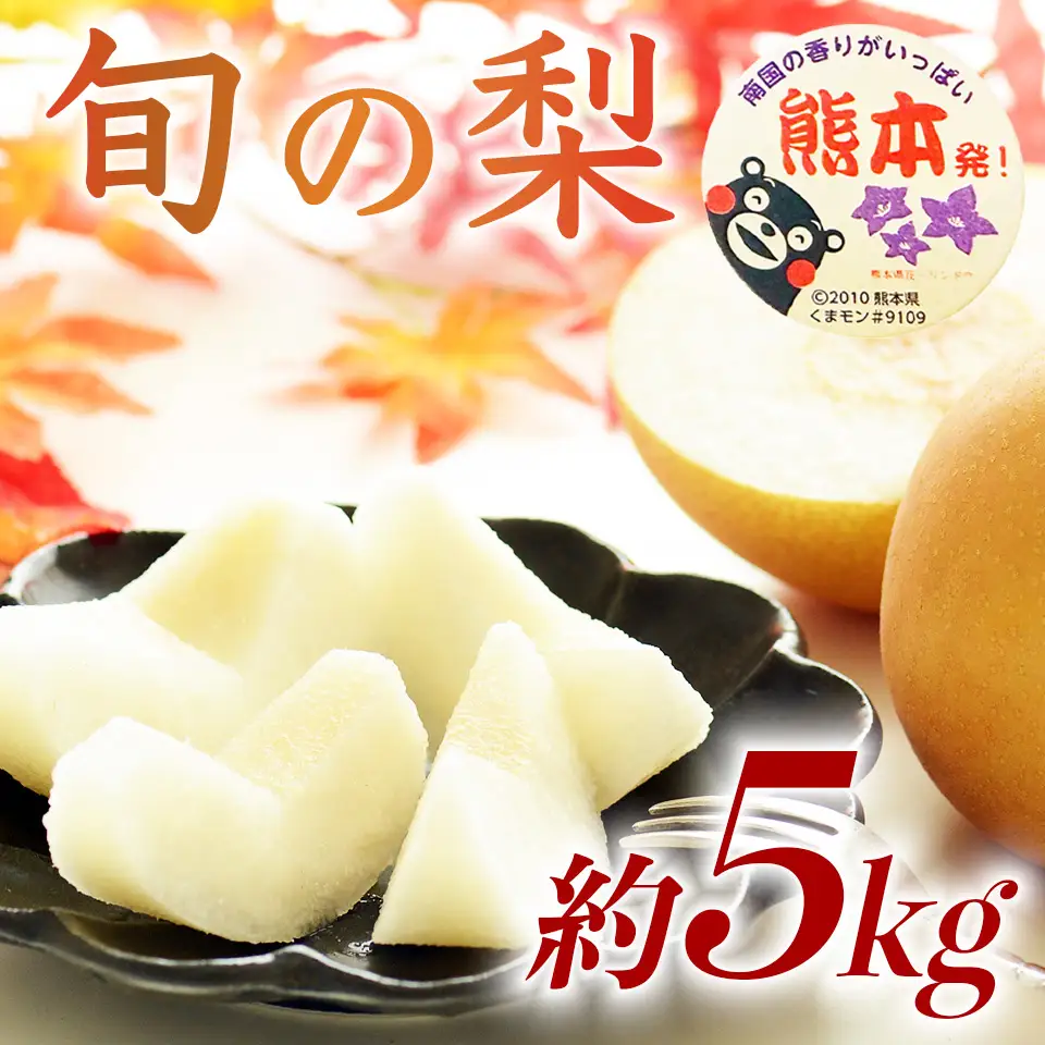 先行予約 旬の梨 品種おまかせ  約5㎏（6～18玉）【2026年8月上旬～2026年10月中旬発送予定】
