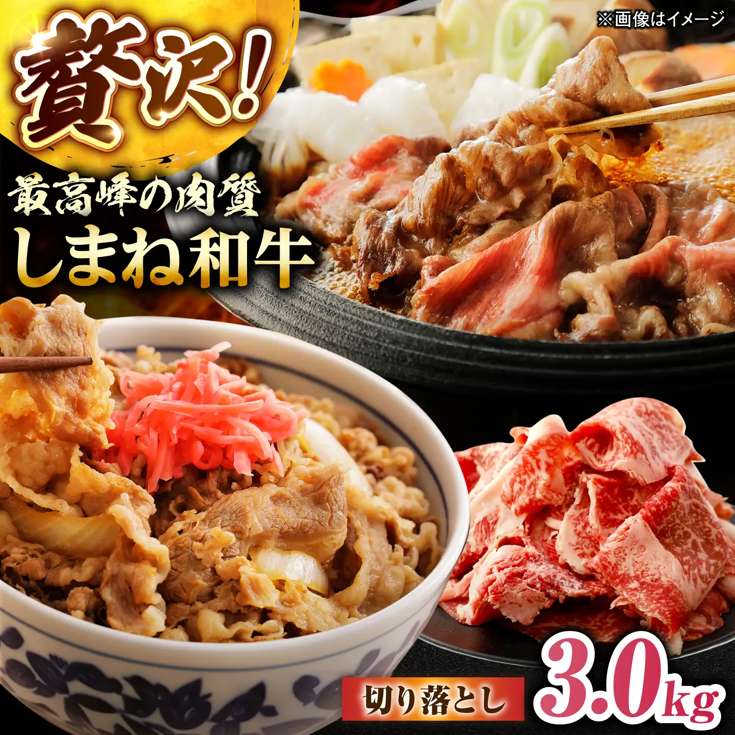 しまね和牛切り落とし 3.0kg(600g×5パック)[ALFR024]