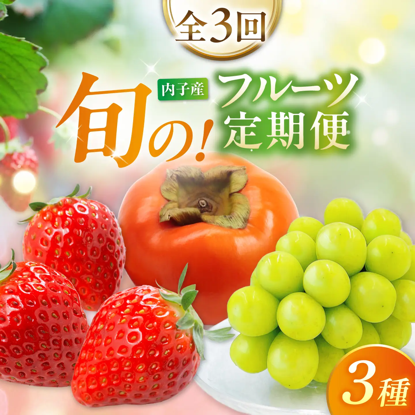【3回定期便】ぶどう・柿・いちご 旬のフルーツ定期便【北海道・沖縄配送不可】 BKAY034