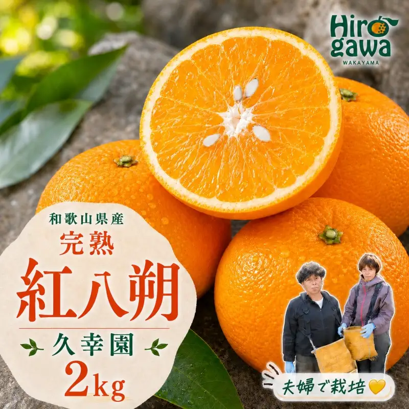 完熟 紅八朔 2kg 久幸園 / はっさく 甘い 和歌山 柑橘 ※2027年4月上旬～5月上旬頃に順次発送予定 【hsk022-beni-2】