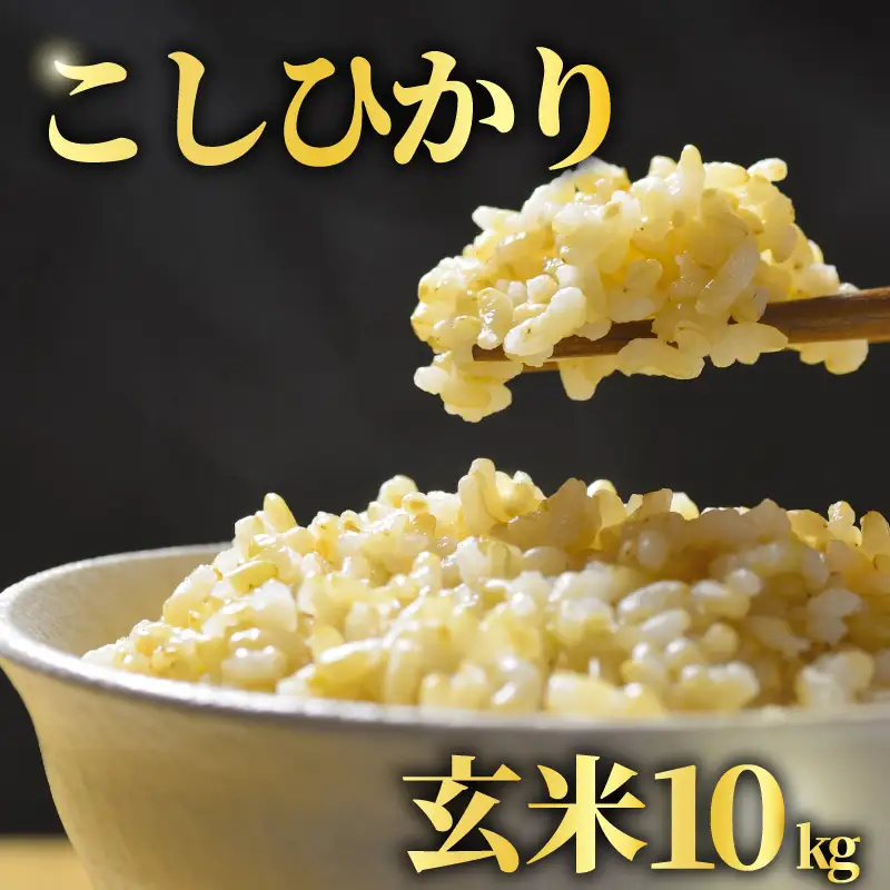 【先行予約】 玄米 10kg こしひかり 令和8年産 【 玄米 新米 】