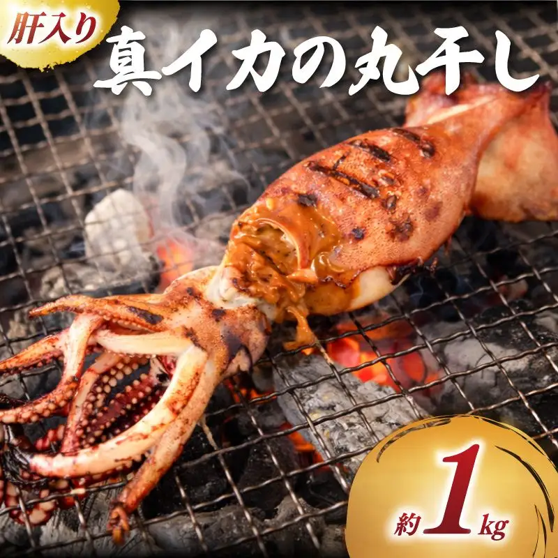 訳あり 真イカ の 丸干し 1kg 【 いか イカ 】