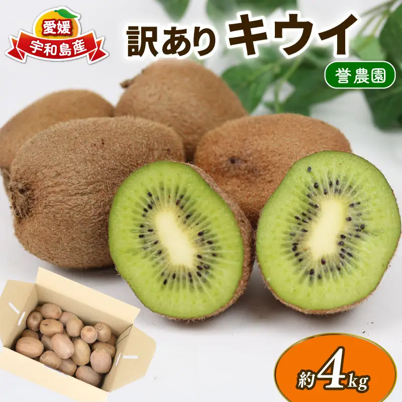 訳あり キウイ 4kg 誉農園 キウイ F010-138015