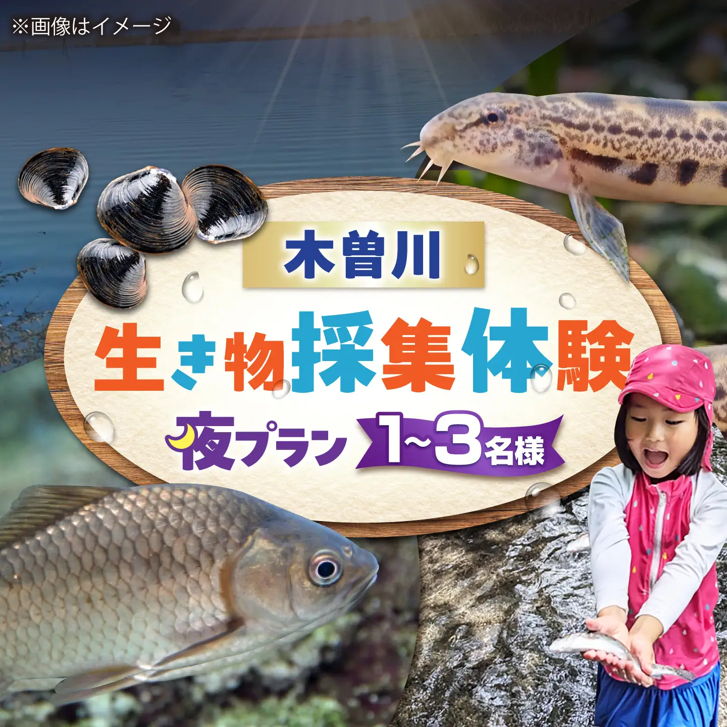 木曽川の生き物採集体験 (夜プラン) 1～3名まで 体験 チケット 採集 愛西市 / 艶麗[AEDD008]