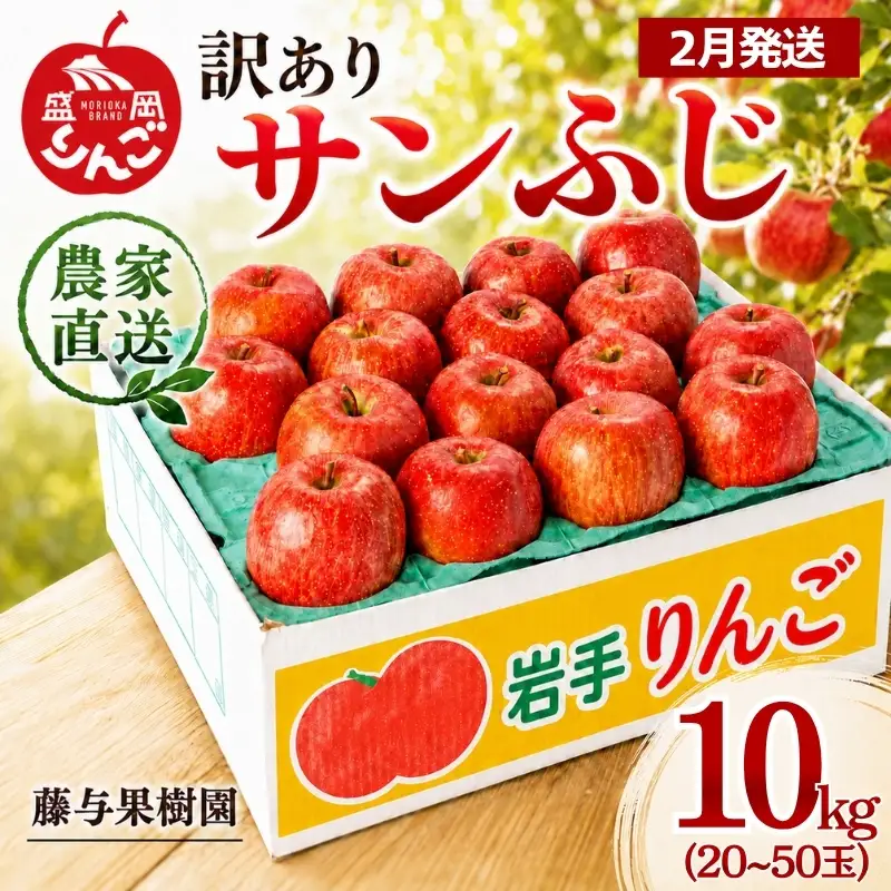 【2月発送】訳ありサンふじ10kg りんご 藤与果樹園 サンふじ fujiyo003t