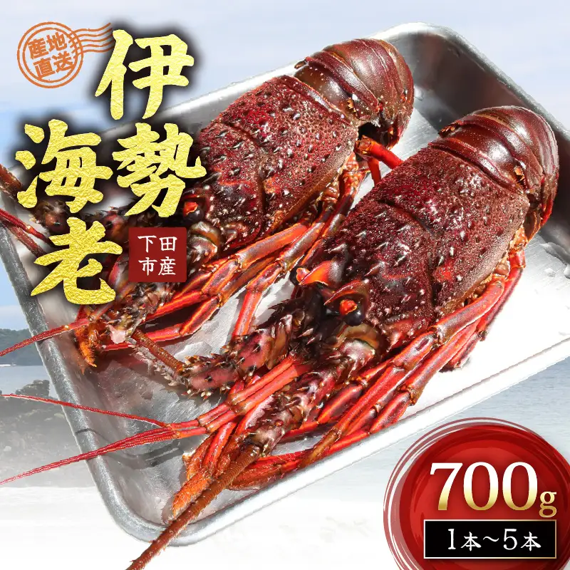 【伊勢海老】700g 冷凍 活き締め 下田産