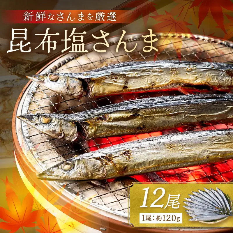 昆布塩さんま(12尾)【A2-170】