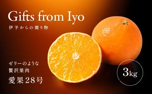 【2026年先行予約】みかん 愛果28号 約3kg M〜3Lサイズ混合 紅まどんな同一品種 【2026年11月下旬より発送予定】 愛媛 人気 柑橘 フルーツ 国産 おすすめ 伊予市｜B552