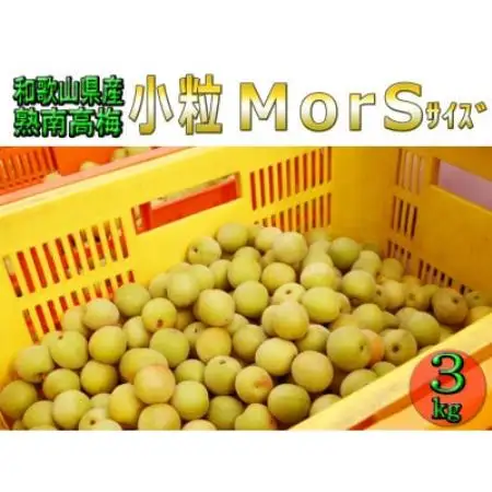 【梅干・梅酒用等】紀州和歌山の熟南高梅(約3kg+3%)【6月下旬～7月中旬順次発送】【配送不可地域：離島・北海道・沖縄県】【1738055】