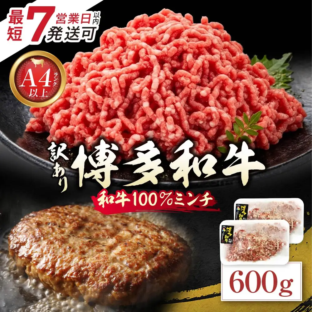 Z59-44 博多和牛100%ミンチ(挽肉)【訳あり】600g(300g×2個) 博多和牛