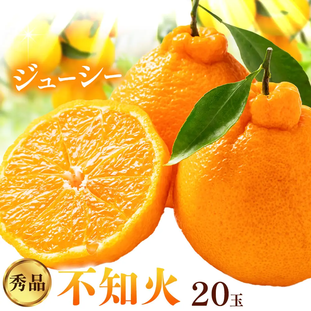 秀品 不知火 ( デコポン ) と同品種 約2kg しらぬい