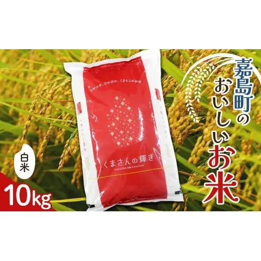 FK7-0270_【嘉島町産】くまさんの輝き 10kg 米 お米 コメ ごはん ご飯 食品 九州 熊本県 熊本 嘉島