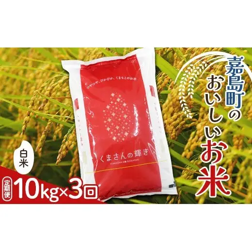 FK7-0272_【3カ月定期】【嘉島町産】くまさんの輝き 10kg 米 お米 コメ ごはん ご飯 食品 九州 熊本県 熊本 嘉島