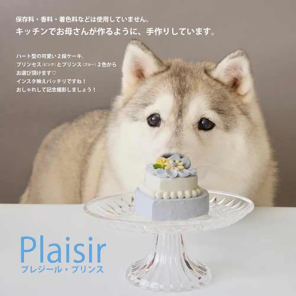 ＜ペットフード＞ ハート型のケーキ★プリンス Plaisir －プレジール－【Kitchen Dog！】 犬用 ペット用  餌 エサ ペット 動物 犬 愛犬 愛犬家 愛犬用 スイーツ デザート おやつ ケーキ ご褒美 お取り寄せ ギフト プレゼント 贈り物 誕生日 記念日 お祝い 東京 世田谷 キッチンドッグ_0100-006-se7-1
