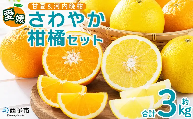 ＜愛媛県西予市産 さわやか柑橘セット 合計約3kg＞『5月～6月中旬頃迄に順次出荷予定』甘夏 河内晩柑 あまなつ ばんかん 果物 フルーツ みかん ミカン 蜜柑 食べ比べ 詰合せ 甘酸っぱい かんきつ 柑橘 特産品 夕焼け山農園 愛媛県 西予市 【常温】AYN0013