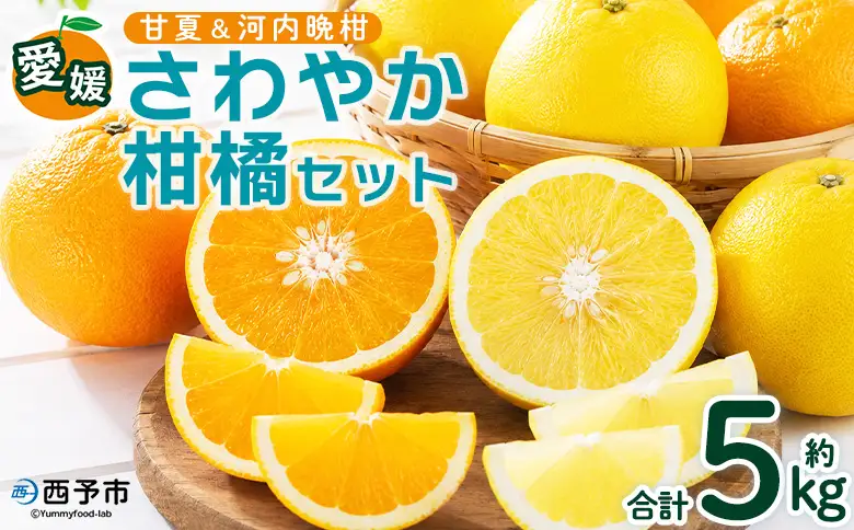 ＜愛媛県西予市産 さわやか柑橘セット 合計約5kg＞『5月～6月中旬頃迄に順次出荷予定』甘夏 河内晩柑 あまなつ ばんかん 果物 フルーツ みかん ミカン 蜜柑 食べ比べ 詰合せ 甘酸っぱい かんきつ 柑橘 特産品 夕焼け山農園 愛媛県 西予市 【常温】AYN0014
