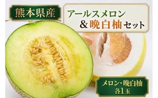 アールスメロン1玉 ＆ 晩白柚1玉 セット くだもの 果物 フルーツ 甘み 国産 熊本県産 果実 果汁 果肉 アールスメロン メロン 晩白柚 柑橘 大玉 【 2026年12月上旬発送開始 】