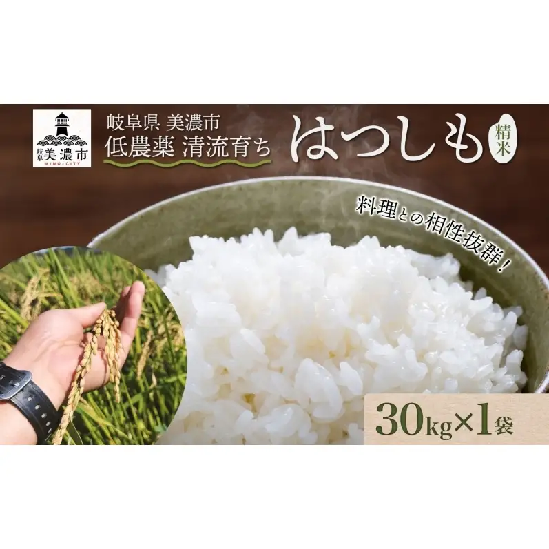 はつしも 精米 低農薬 新米 はつしも【30kg】【先行予約】