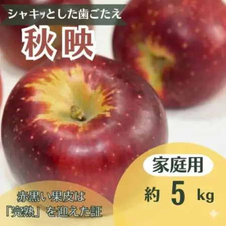 りんご 秋映 約5kg 家庭用【1738020】