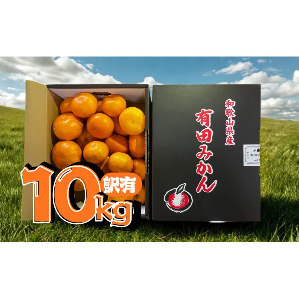 【訳あり】有田みかん 約10kg 家庭用