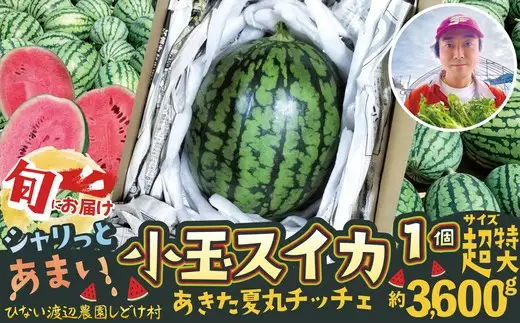 シャリっと甘い小玉スイカ！あきた夏丸チッチェ＜超特大1個＞　90P3404【ひない渡辺農園しどけ村】