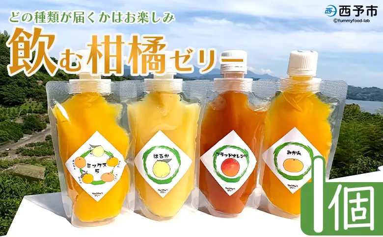 ＜つるんと食感の飲む柑橘ゼリー 1個＞『1か月以内に順次発送予定』果物ゼリー くだもの ゼリー パウチ みかん 蜜柑 デザート スイーツ おやつ のむ ストレート 果汁 100％ 食感 ぷるぷる お楽しみ 渡江から一歩を踏み出す会 愛媛県 西予市 【常温】ATI0055