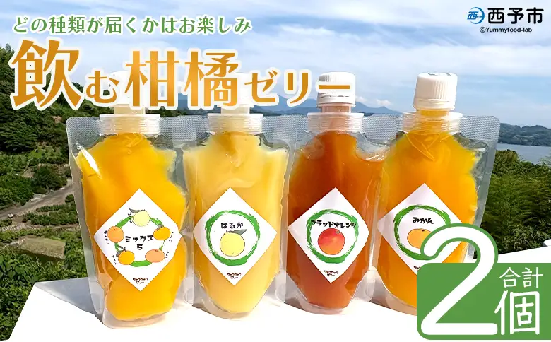 ＜つるんと食感の飲む柑橘ゼリー 2個＞『1か月以内に順次発送予定』果物ゼリー くだもの ゼリー パウチ みかん 蜜柑 デザート スイーツ おやつ のむ ストレート 果汁 100％ 食感 ぷるぷる お楽しみ 渡江から一歩を踏み出す会 愛媛県 西予市 【常温】ATI0054