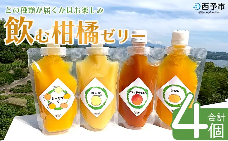 ＜つるんと食感の飲む柑橘ゼリー 4個＞『1か月以内に順次発送予定』果物ゼリー くだもの ゼリー パウチ みかん 蜜柑 デザート スイーツ おやつ のむ ストレート 果汁 100％ 食感 ぷるぷる お楽しみ 渡江から一歩を踏み出す会 愛媛県 西予市 【常温】ATI0053