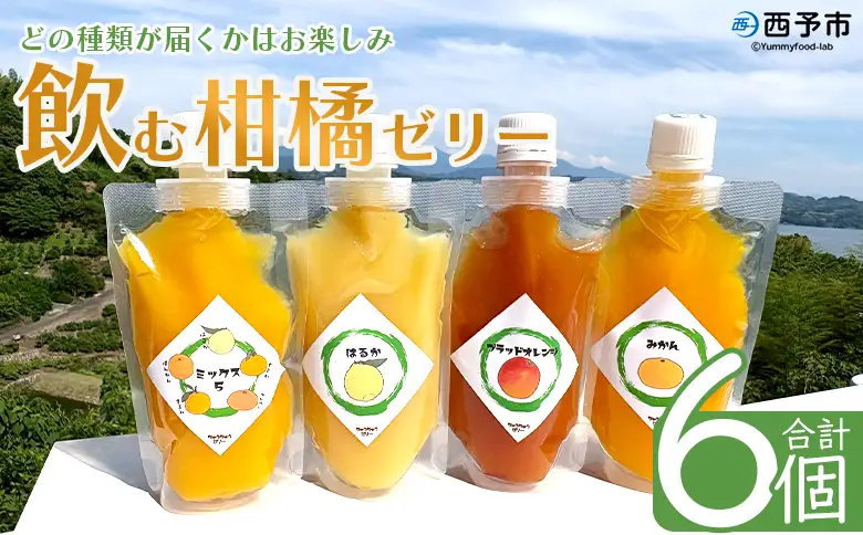 ＜つるんと食感の飲む柑橘ゼリー 6個＞『1か月以内に順次発送予定』果物ゼリー くだもの ゼリー パウチ みかん 蜜柑 デザート スイーツ おやつ のむ ストレート 果汁 100％ 食感 ぷるぷる お楽しみ 渡江から一歩を踏み出す会 愛媛県 西予市 【常温】ATI0052