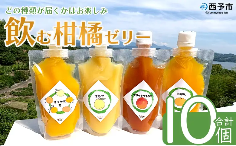 ＜つるんと食感の飲む柑橘ゼリー 10個＞『1か月以内に順次発送予定』果物ゼリー くだもの ゼリー パウチ みかん 蜜柑 デザート スイーツ おやつ のむ ストレート 果汁 100％ 食感 ぷるぷる お楽しみ 渡江から一歩を踏み出す会 愛媛県 西予市 【常温】ATI0051