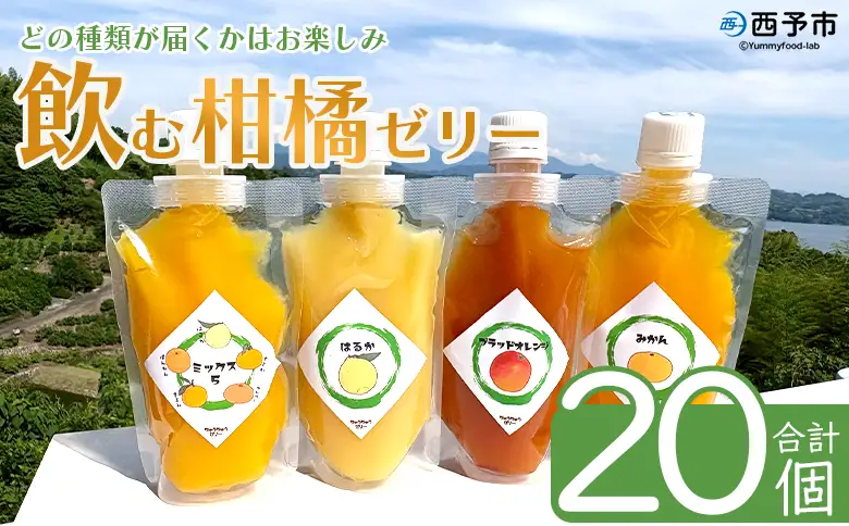 ＜つるんと食感の飲む柑橘ゼリー 20個＞『1か月以内に順次発送予定』果物ゼリー くだもの ゼリー パウチ みかん 蜜柑 デザート スイーツ おやつ のむ ストレート 果汁 100％ 食感 ぷるぷる お楽しみ 渡江から一歩を踏み出す会 愛媛県 西予市【常温】ATI0050