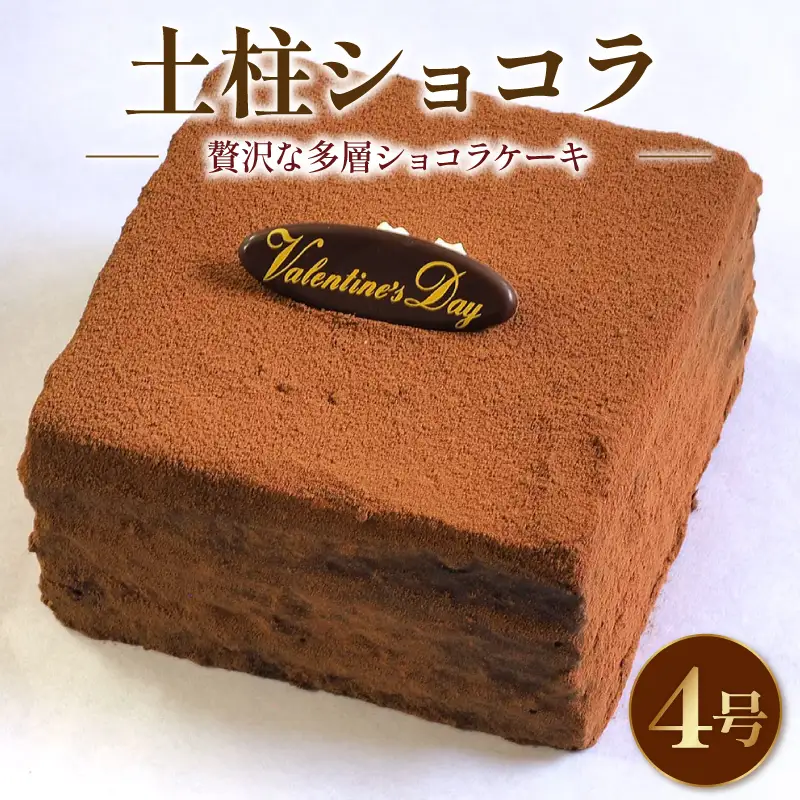 チョコケーキ ショコラケーキ 4号 チョコケーキ