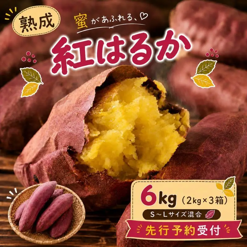 【先行予約】紅はるか さつまいも 約6kg 秋山農場 さつまいも