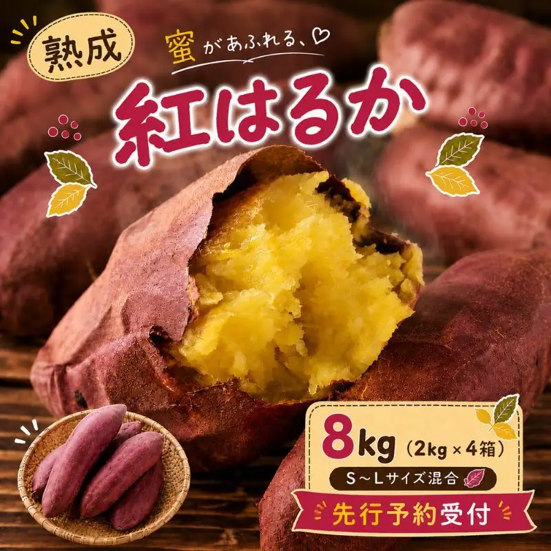 【先行予約】紅はるか さつまいも 約8kg 秋山農場 さつまいも