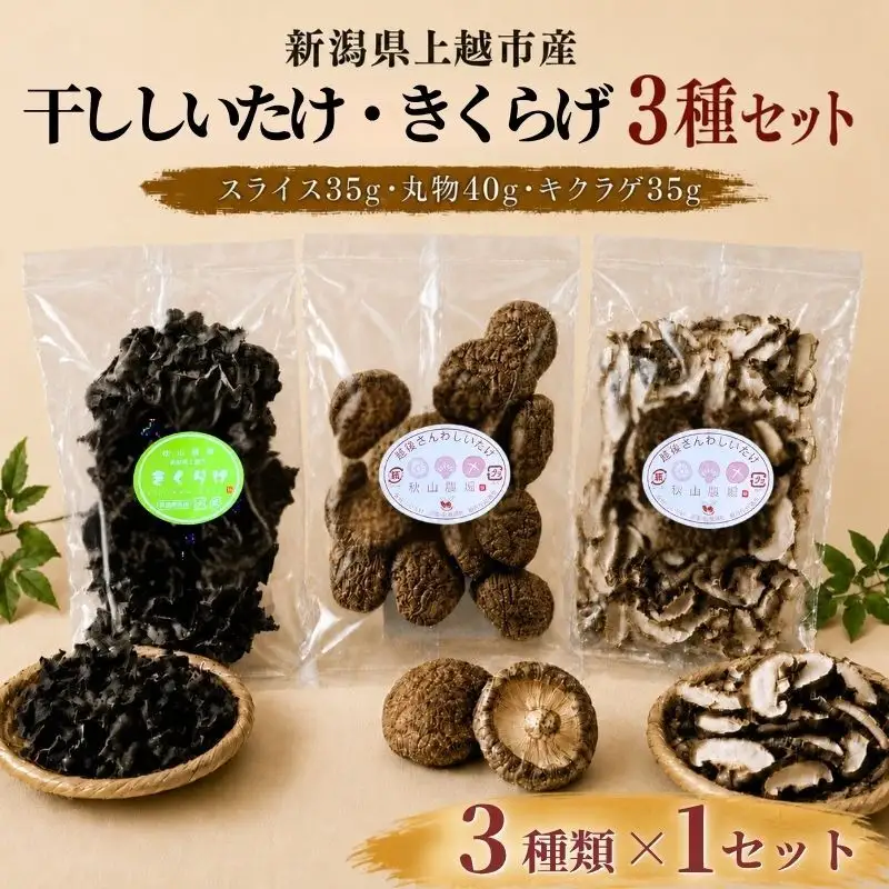 干し椎茸 干しキクラゲ 1セット 秋山農場 干し椎茸