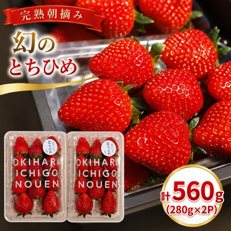 希少品種！幻の「とちひめ」 560g (280g×2P)|  栃木県 矢板市 澳原いちご農園