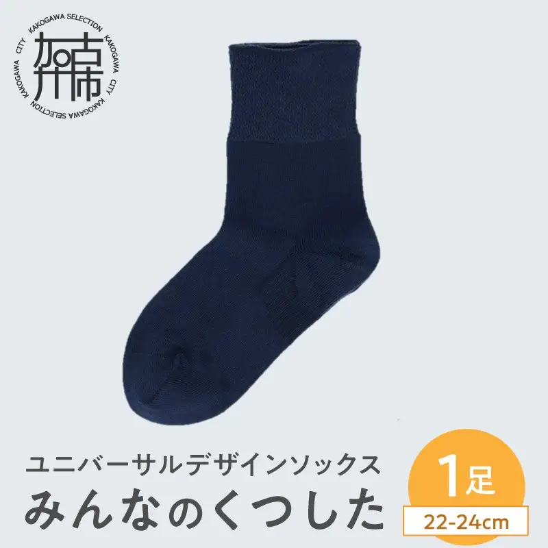 みんなのくつした 1足(22-24cm)【コン】【2500T16802_02】
