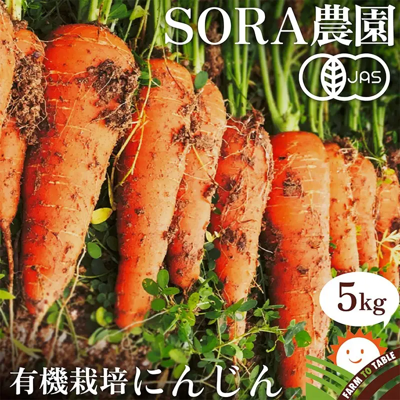 【先行予約11月下旬～】有機にんじん5kg オーガニック野菜 人参｜にんじん