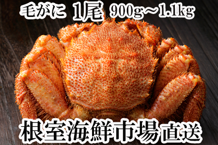 根室海鮮市場[直送]ボイル毛がに900g～1.1kg×1尾 C-28023