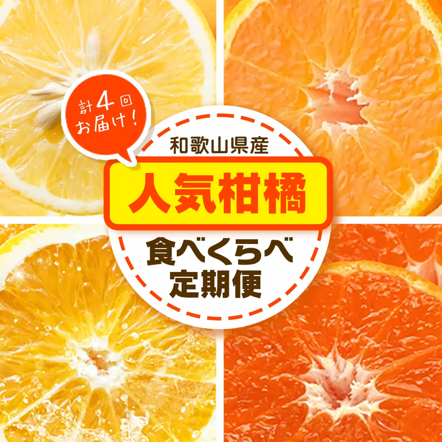 人気柑橘食べくらべ定期便 全4回 計20kg