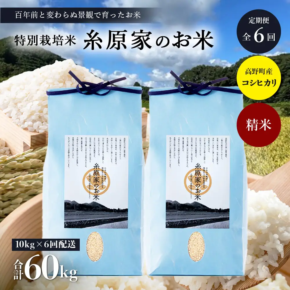 【定期便 全6回】特別栽培米「糸原家のお米」高野町産 コシヒカリ 10キロ(5キロ×2袋) | 10kg×6回 合計60kg 6ヶ月 6ヵ月 6か月 精米 白米 お米