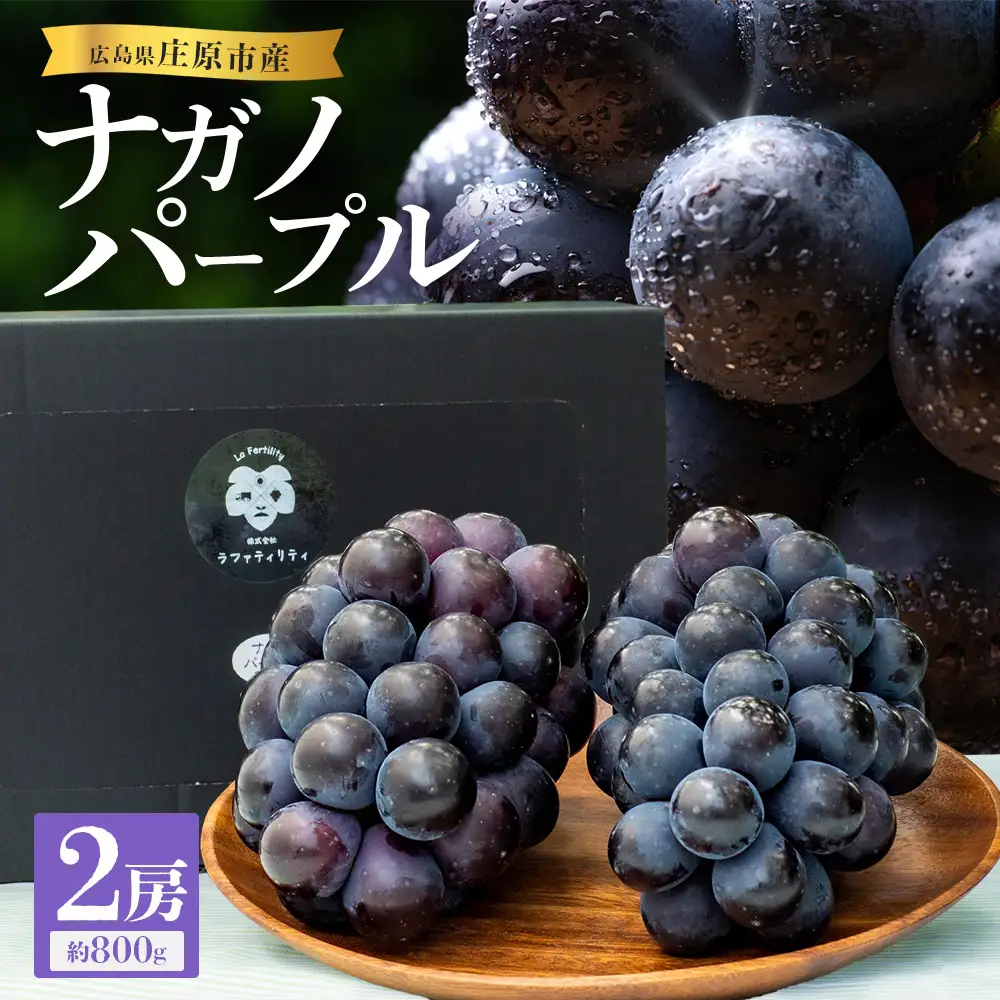 【先行受付 2026年発送】ナガノパープル2房セット【配送不可地域：離島・北海道・沖縄県・東北】【1345435】