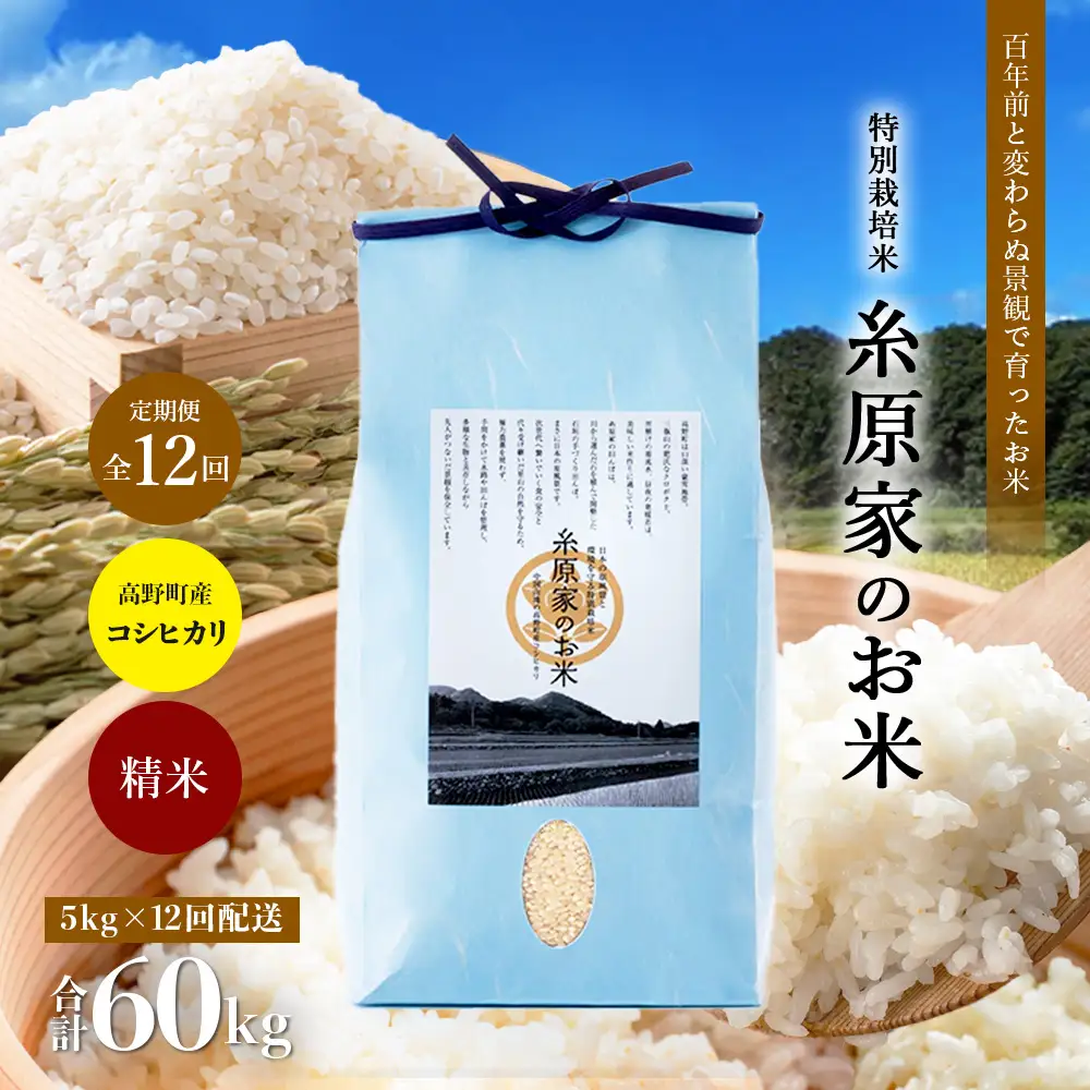 【定期便 全12回】特別栽培米「糸原家のお米」高野町産 コシヒカリ 5キロ| 5kg×12回 合計60kg 12ヶ月 12ヵ月 12か月 精米 白米 お米